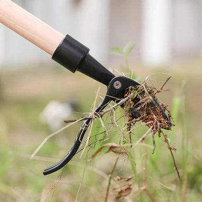 Weeding and rooting machine