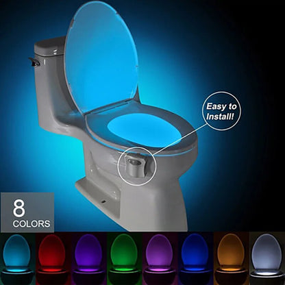 Toilet sensor light