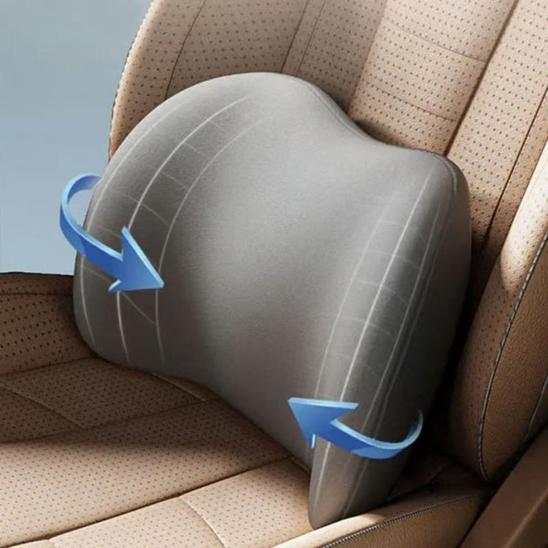 Car headrest and lumbar support cushions