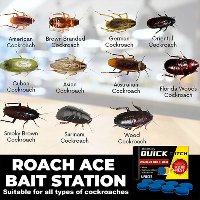 Roach Ace Bait Station