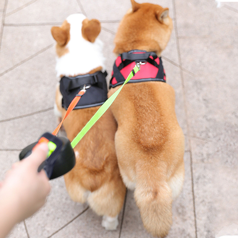 One to two dog leash