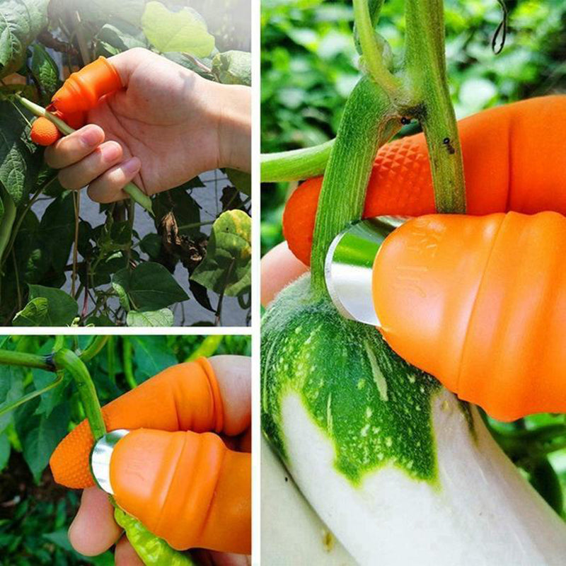 Thumb knife for picking vegetables in the kitchen