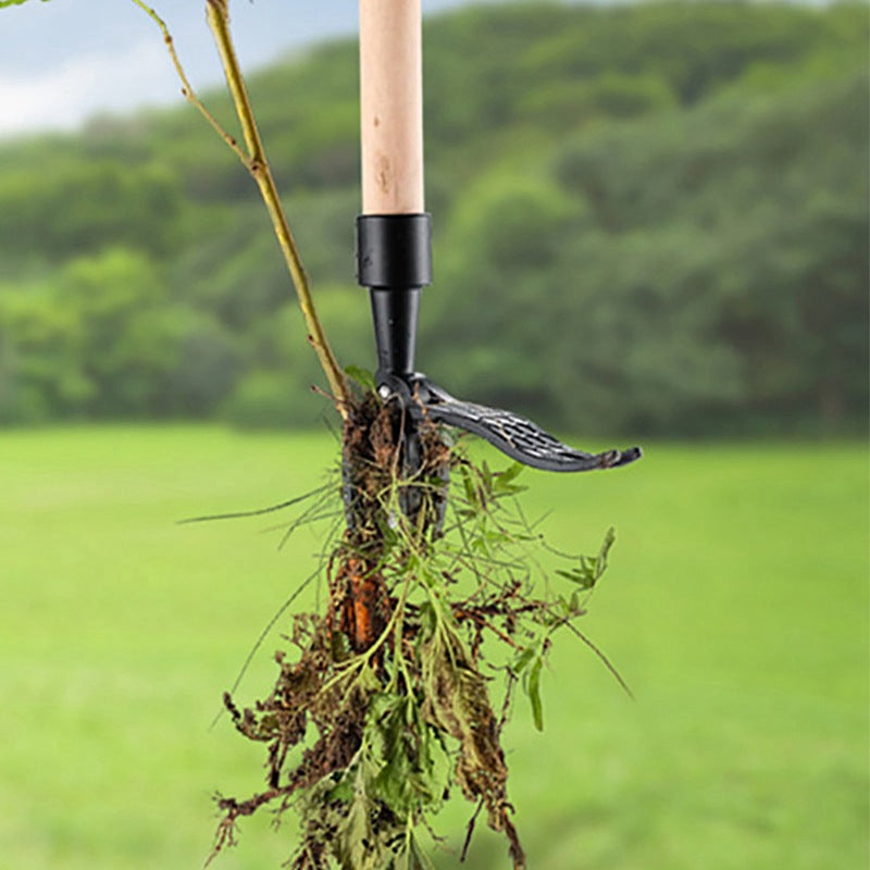 Weeding and rooting machine