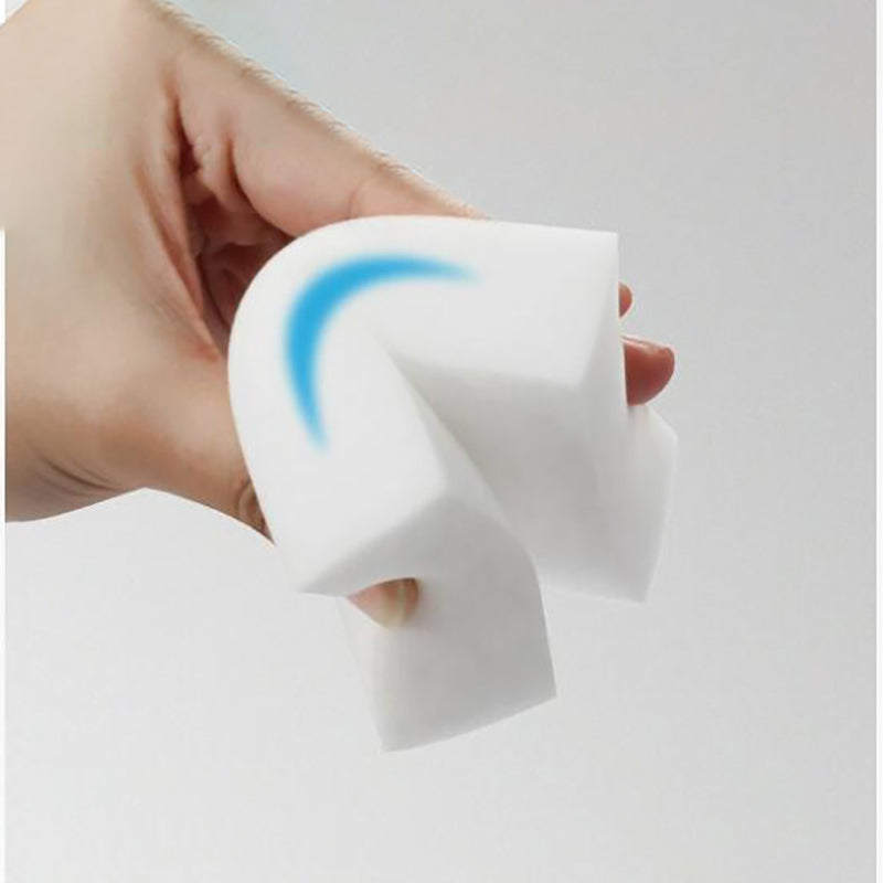 Cleaning dishwashing sponge