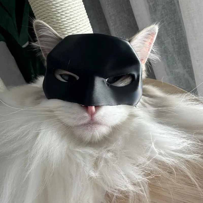 Batcat Avengers Mask Cat Mask