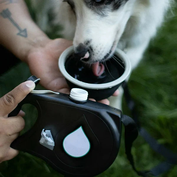 Multifunctional pet leash with built-in water bottle